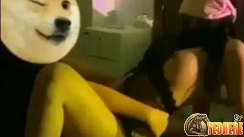 เย็ดหี เย็ดสด เย็ดท่าหมา สาวไทย สาวสวย