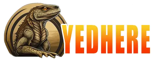 คลิปหลุด คลิปXXX หนังโป๊ใหม่ อมควย เย็ดกัน หี VK ส่งตรงจากทางบ้าน YEDHERE.NET